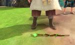 Revoir Robin des bois : malice à sherwood du 27 Octobre