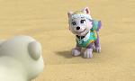 Revoir Paw patrol, la pat'patrouille du 27 Octobre