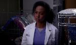 Revoir Grey's anatomy du 27 Octobre