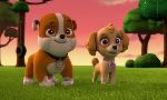 Revoir Paw patrol, la pat'patrouille du 28 Octobre