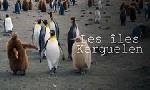 Revoir Les îles kerguelen : aux confins du monde du 28 Octobre