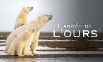 Revoir L'année de l'ours du 30 Octobre