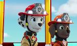 Revoir Paw patrol, la pat'patrouille du 01 Novembre