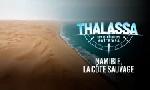 Revoir Thalassa, aventures extrmes du 03 Novembre