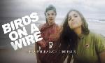 Revoir Birds on a wire - le chant des oiseaux du 05 Novembre