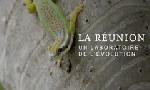 Revoir L'le de la runion : laboratoire de l'volution du 10 Novembre