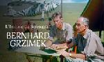 Revoir L?homme du serengeti : bernhard grzimek du 13 Novembre