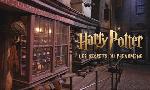 Revoir Harry potter : les secrets du phnomne du 18 Novembre