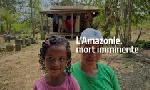 Revoir L?amazonie, mort imminente du 19 Novembre