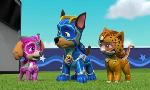 Revoir Paw patrol, la pat'patrouille du 19 Novembre