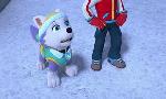 Revoir Paw patrol, la pat'patrouille du 21 Novembre