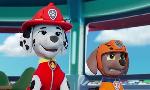 Revoir Paw patrol, la pat'patrouille du 22 Novembre