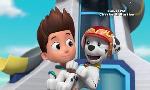 Revoir Paw patrol, la pat'patrouille du 25 Novembre