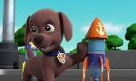 Revoir Paw patrol, la pat'patrouille du 26 Novembre