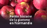 Revoir Petite histoire de la pomme en normandie du 27 Novembre