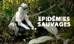 Revoir Epidmies sauvages : les animaux face  la contamination du 30 Novembre