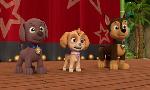 Revoir Paw patrol, la pat'patrouille du 04 Dcembre