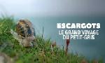 Revoir Escargots, le grand voyage du petit-gris du 04 Dcembre