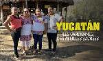 Revoir Yucatan, les gardiennes des abeilles sacres du 06 Dcembre