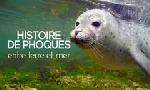Revoir Histoires de phoques : entre terre et mer du 08 Dcembre