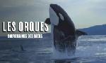 Revoir Les orques, princes des mers du 08 Dcembre