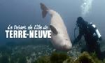 Revoir Le trsor de l'le de terre-neuve du 09 Dcembre