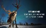 Revoir Bestiaire de nol : entre le renne et l'ne gris du 10 Dcembre