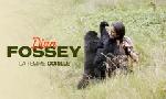 Revoir Dian fossey, la femme-gorille du 13 Dcembre