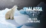 Revoir Thalassa, aventures extr�mes du 15 D�cembre