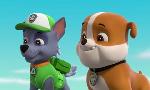 Revoir Paw patrol, la pat'patrouille du 20 D�cembre