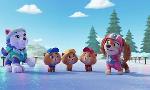Revoir Paw patrol, la pat'patrouille du 21 D�cembre