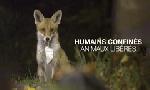 Revoir Humains confin�s, animaux lib�r�s du 22 D�cembre
