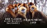 Revoir Une plan�te, deux mondes sauvages du 22 D�cembre