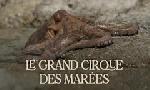 Revoir Le grand cirque des mar�es du 24 D�cembre