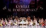 Revoir La belle au bois dormant du 26 D�cembre