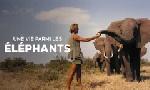 Revoir Une vie parmi les �l�phants du 27 D�cembre