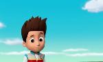 Revoir Paw patrol, la pat'patrouille du 29 D�cembre