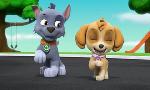 Revoir Paw patrol, la pat'patrouille du 29 D�cembre