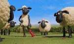 Revoir Shaun le mouton du 15 D�cembre