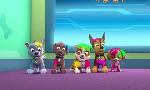 Revoir Paw patrol, la pat'patrouille du 31 D�cembre