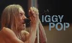 Revoir Iggy pop : live � la citadelle de spandau, berlin du 03 Janvier