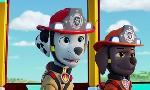 Revoir Paw patrol, la pat'patrouille du 03 Janvier