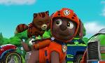 Revoir Paw patrol, la pat'patrouille du 05 Janvier