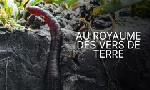 Revoir Au royaume des vers de terre : la vie du sol d�voil�e du 09 Janvier