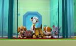Revoir Paw patrol, la pat'patrouille du 12 Janvier