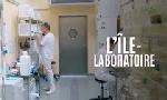 Revoir Virus et �pid�mies : l'�le-laboratoire du 16 Janvier