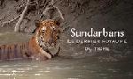 Revoir Sundarbans, le dernier royaume du tigre du 19 Janvier