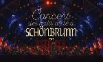 Revoir Concert d'une nuit d'�t� � sch�nbrunn du 19 Janvier