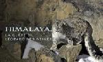 Revoir Himalaya, la qu�te du l�opard des neiges du 20 Janvier