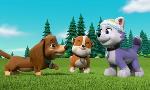 Revoir Paw patrol, la pat'patrouille du 22 Janvier